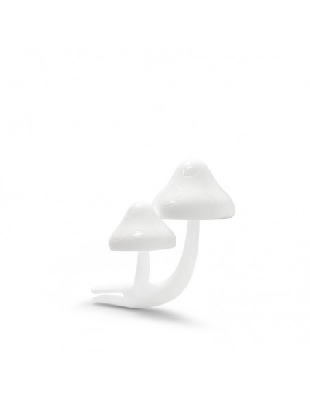 FOREST MUSHROOMS