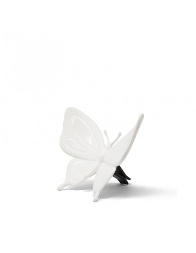 FOREST BUTTERFLY