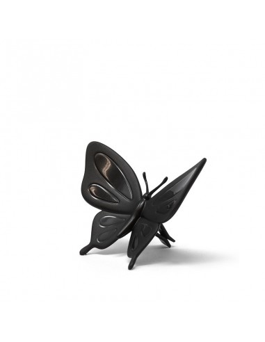 FOREST BUTTERFLY